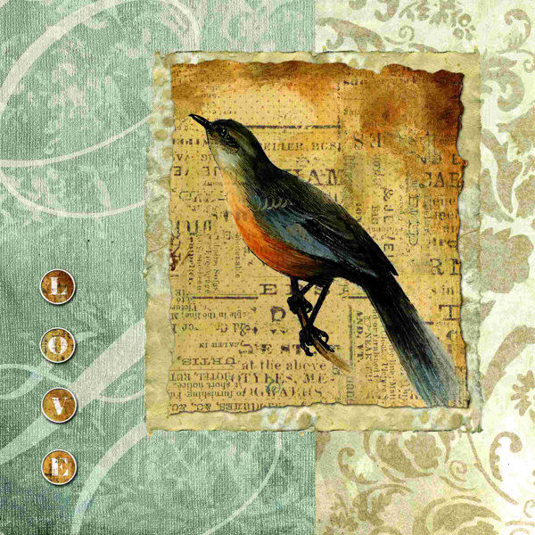 Winston Porter Bird Collage Love Wrapped Canvas Graphic Art Wayfair